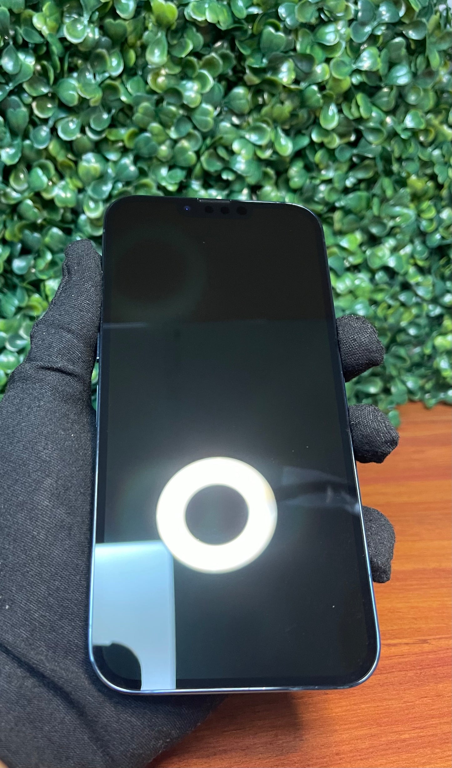 iPhone 13 ProMax