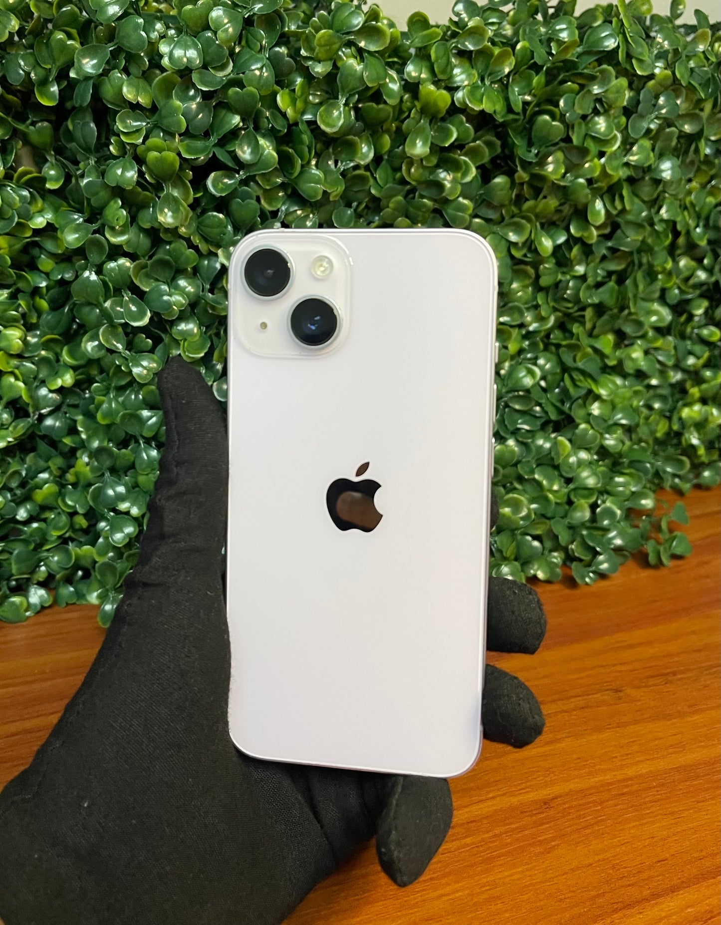 iPhone 14